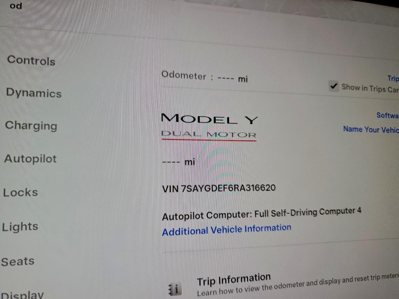 2024 Tesla Model y
