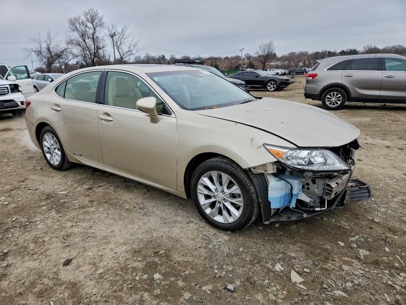 2014 Lexus Es 300h