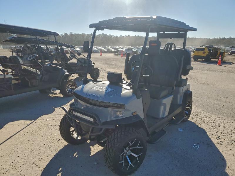2024 Denago Ev Rover XL Golf Cart