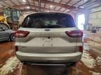 2023 Ford Escape st Line