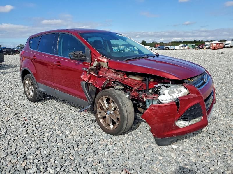 2013 Ford Escape sel