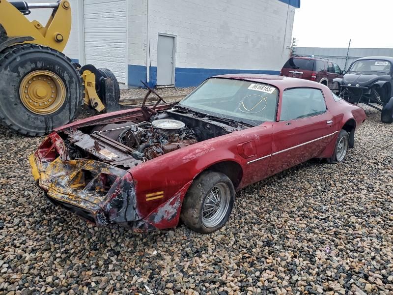 1981 Pontiac Firebird Trans am
