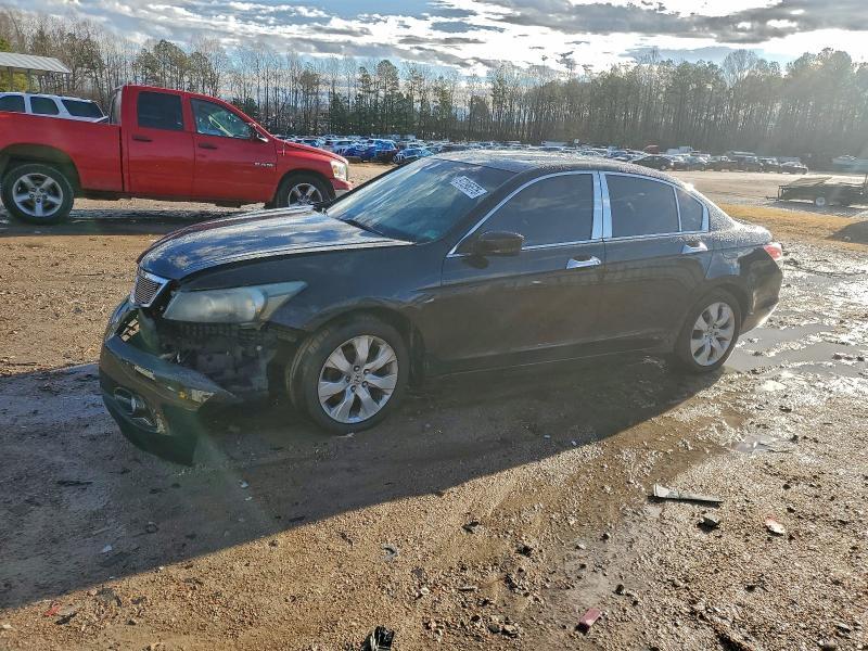 2008 Honda Accord exl