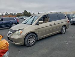 2005 Honda Odyssey exl for sale in Martinez, CA