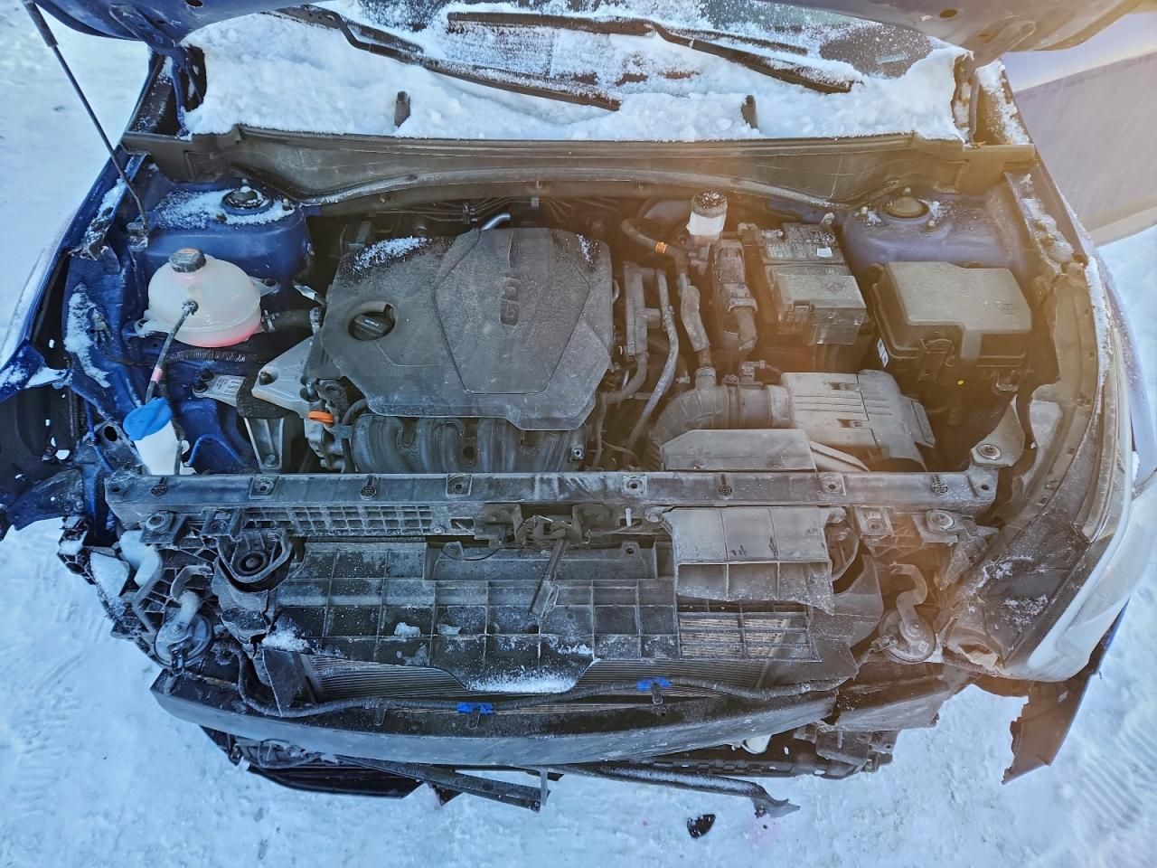 2023 KIA Sportage x Line