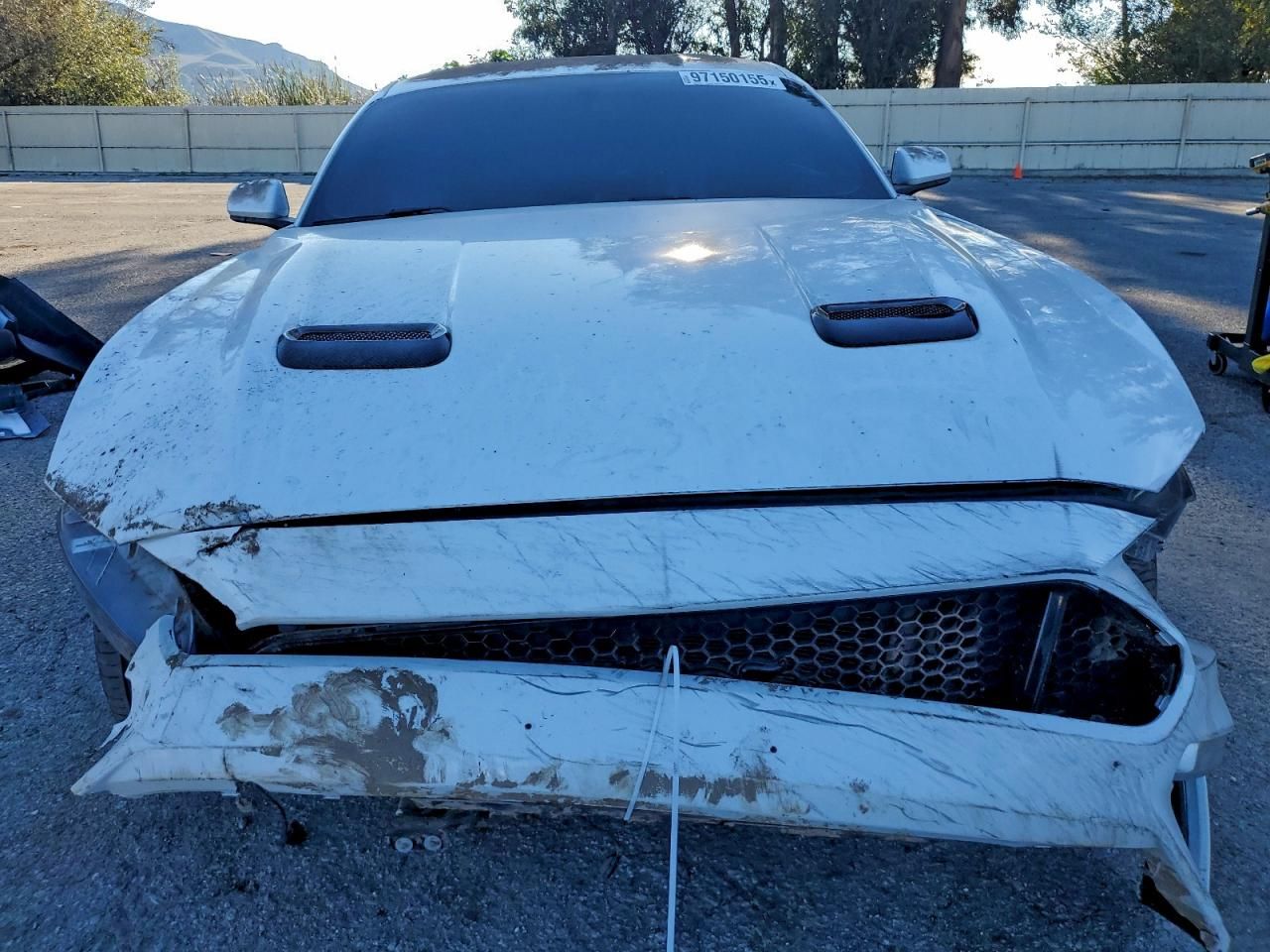 2019 Ford Mustang gt