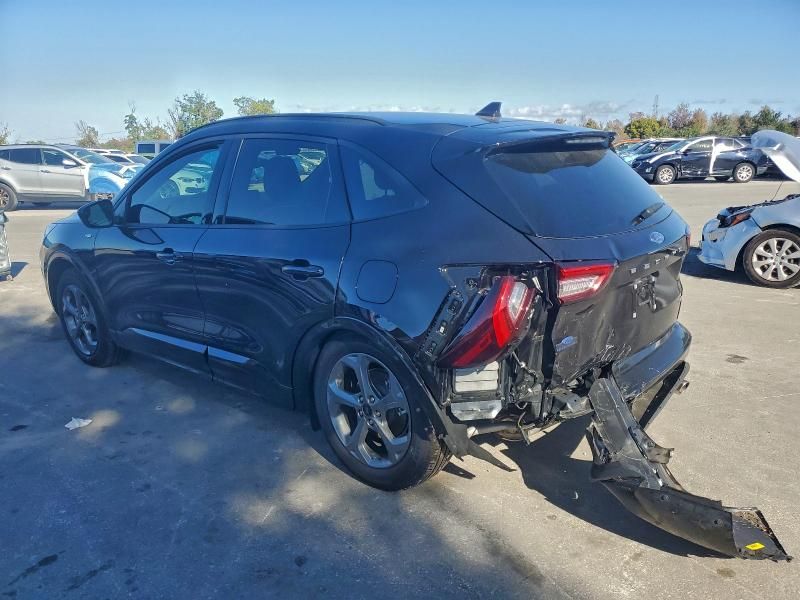 2024 Ford Escape st Line