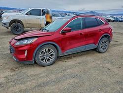 Salvage cars for sale from Copart Helena, MT: 2022 Ford Escape sel