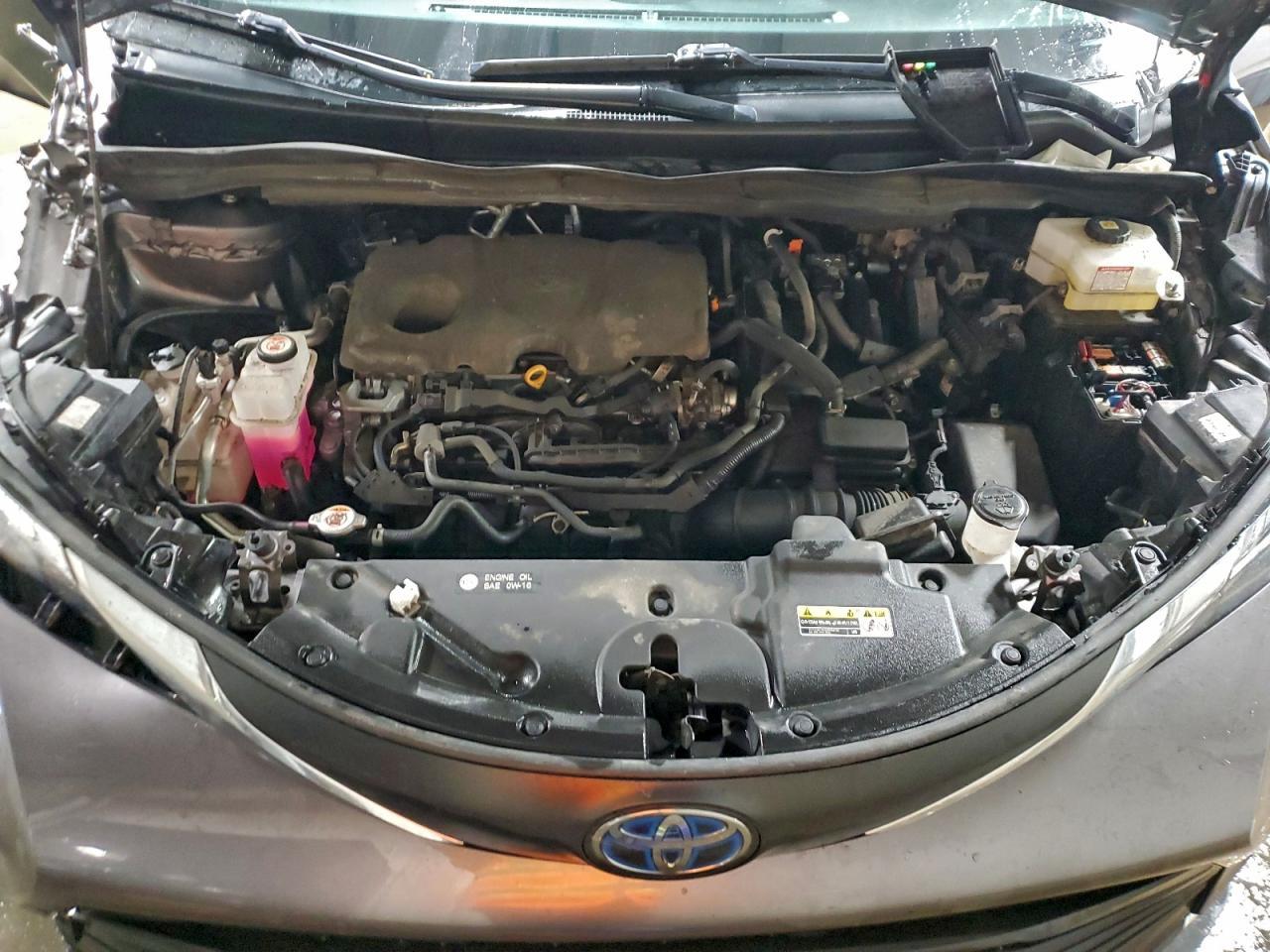 2023 Toyota Sienna xle