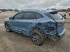 2024 Ford Escape st Line