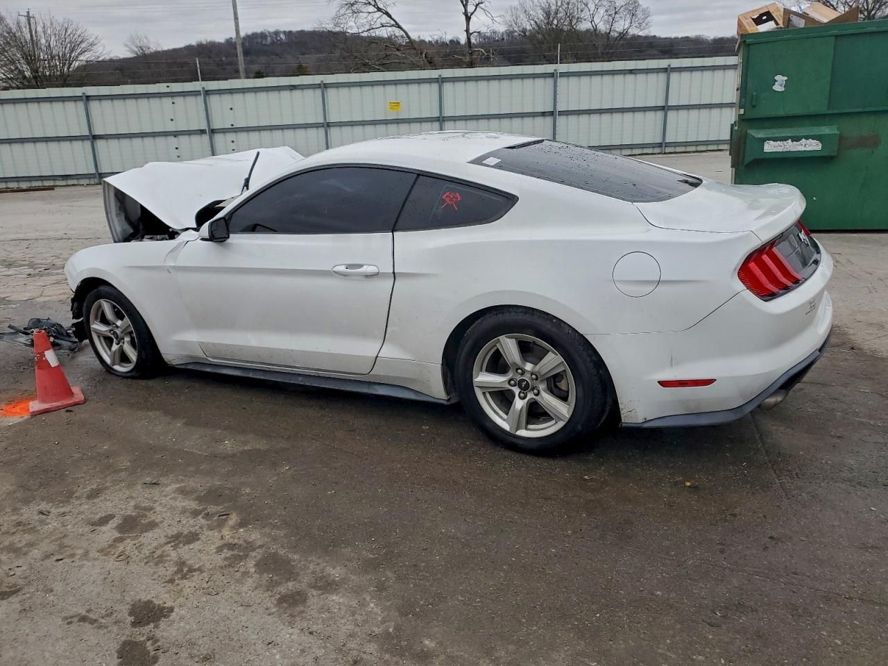 2019 Ford Mustang