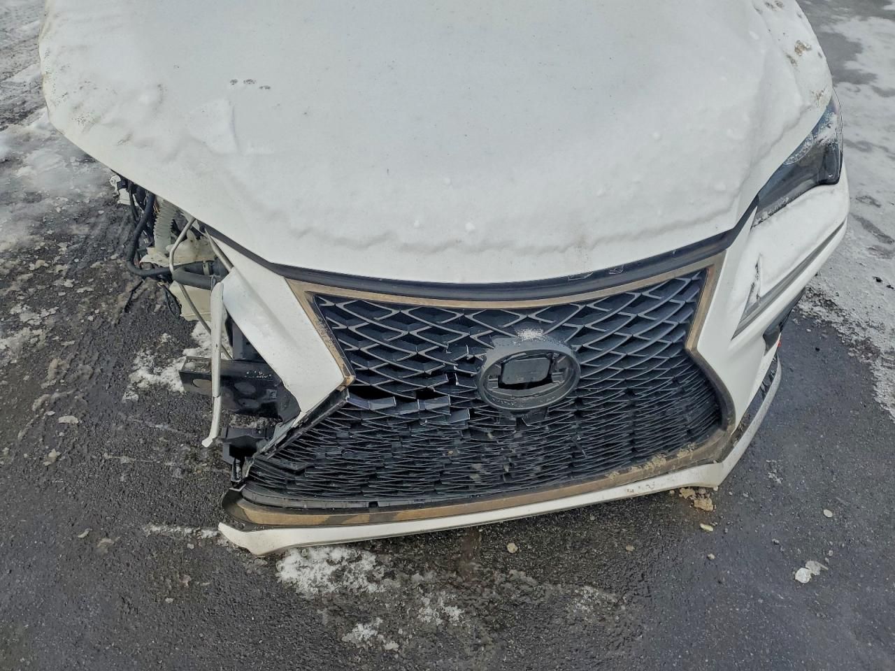 2021 Lexus Nx 300 Base