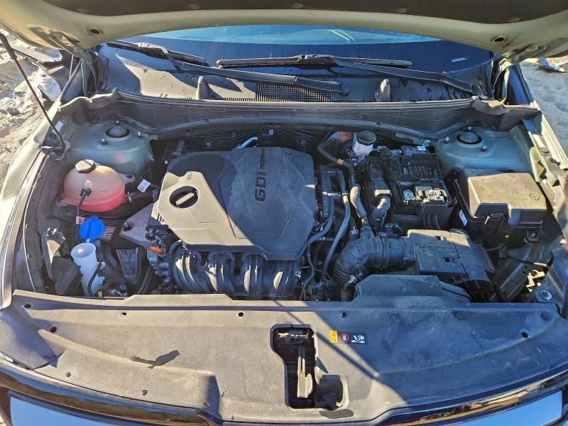 2023 KIA Sportage x Line