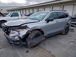 Salvage cars for sale from Copart Louisville, KY: 2024 Honda Cr-v Sport-l