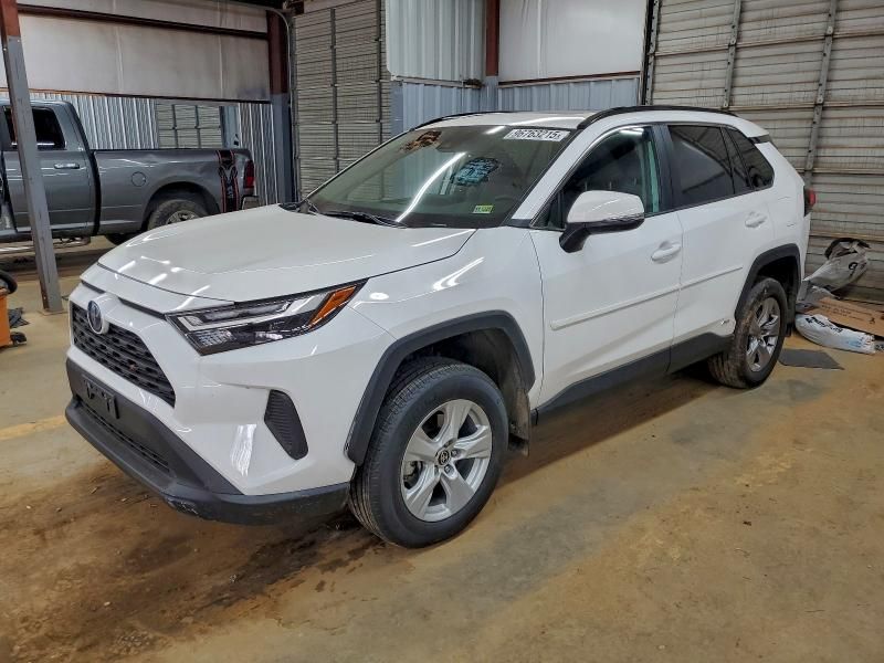 2024 Toyota Rav4 xle