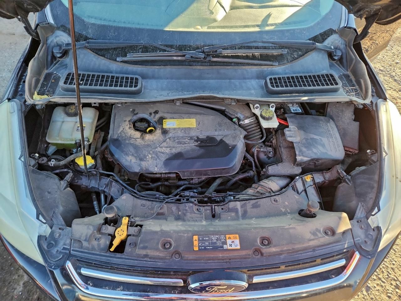 2013 Ford Escape sel