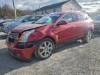 2012 Cadillac Srx Performance Collection