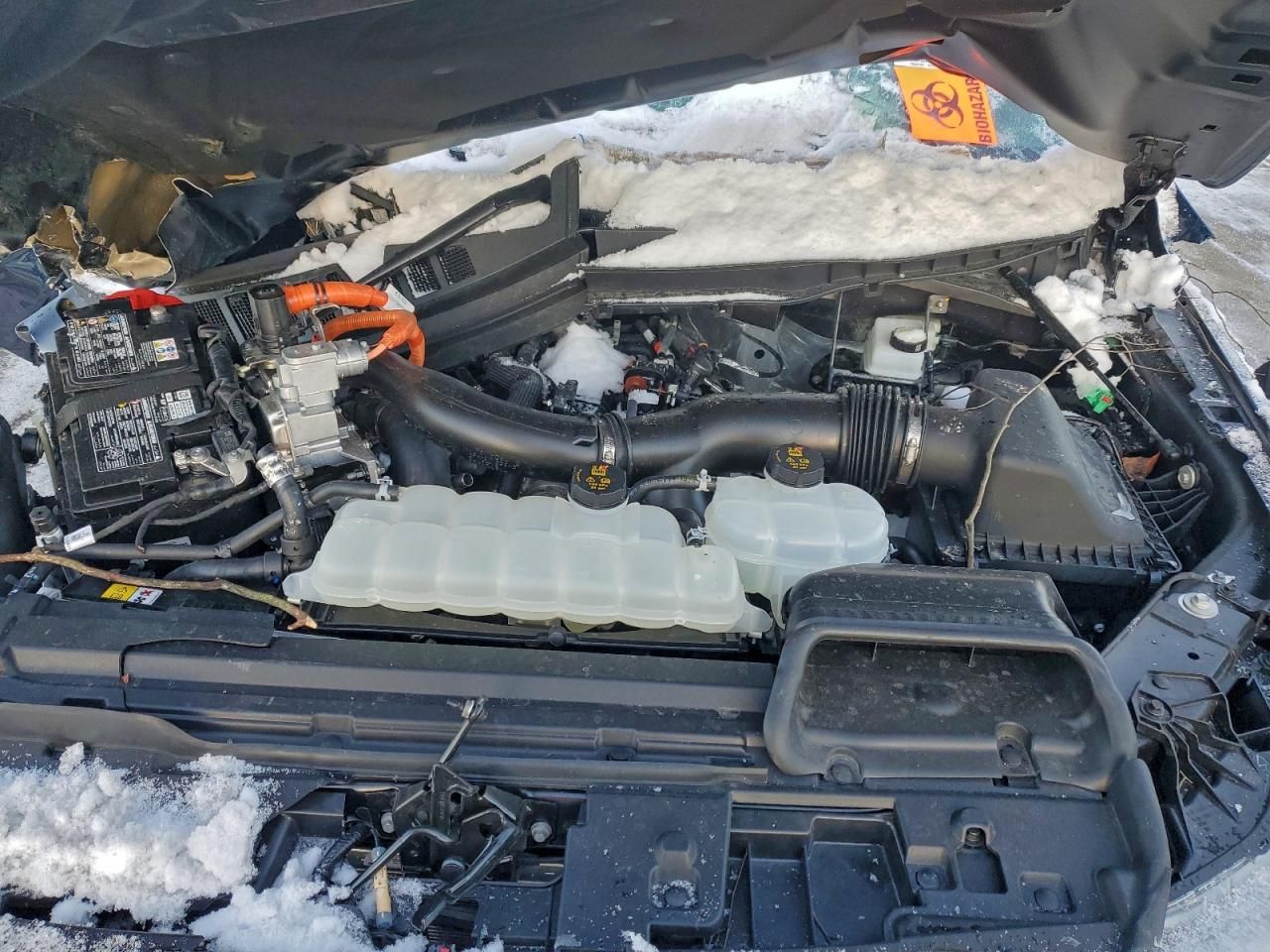 2025 Ford F150 Platinum