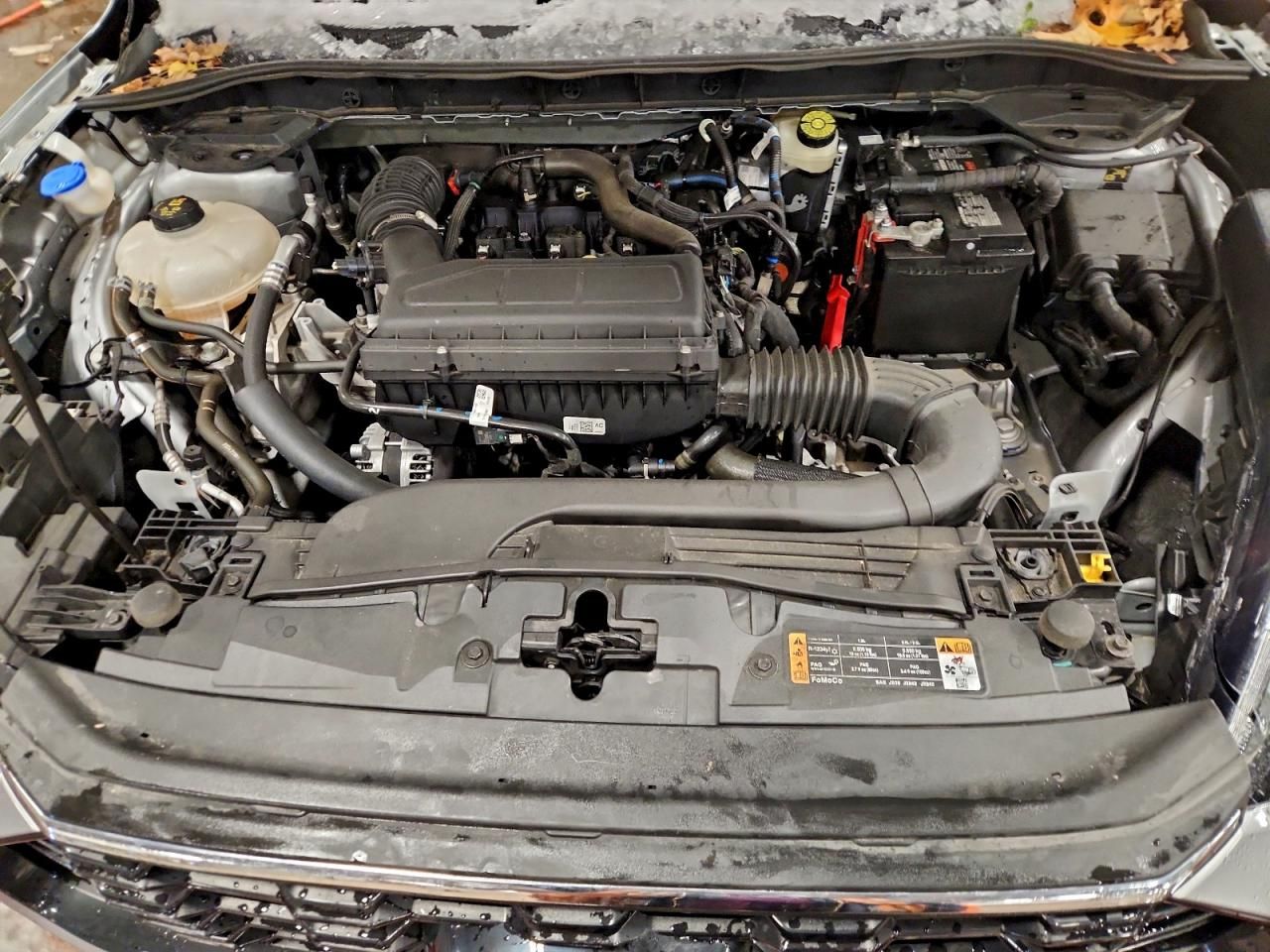 2023 Ford Escape st Line