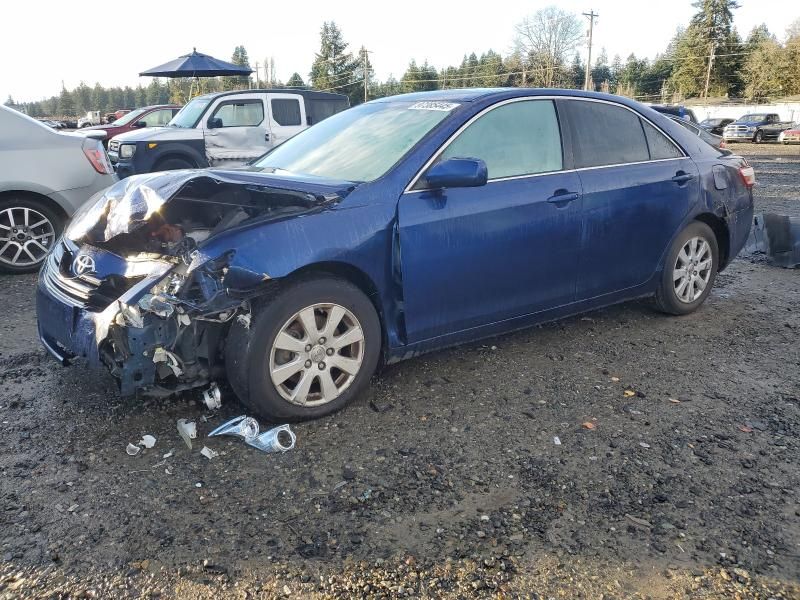 2009 Toyota Camry Hybrid