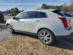 2011 Cadillac Srx Performance Collection