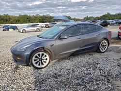 Tesla salvage cars for sale: 2023 Tesla Model 3
