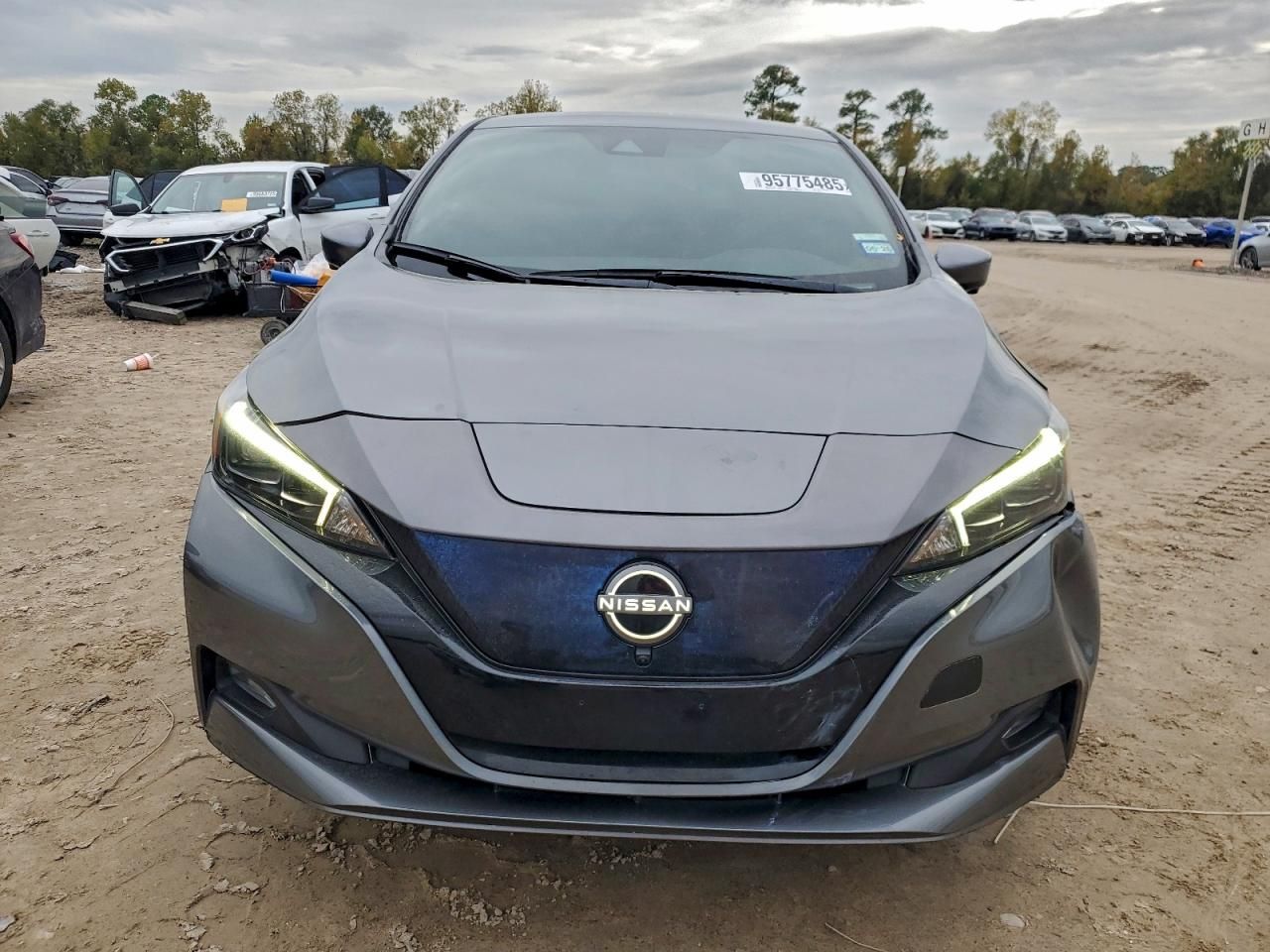 2024 Nissan Leaf sv Plus