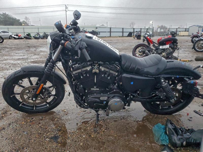 2022 Harley-Davidson XL883