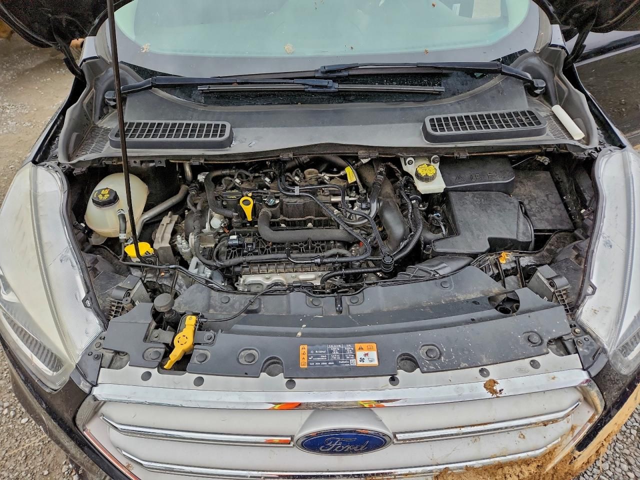 2019 Ford Escape sel