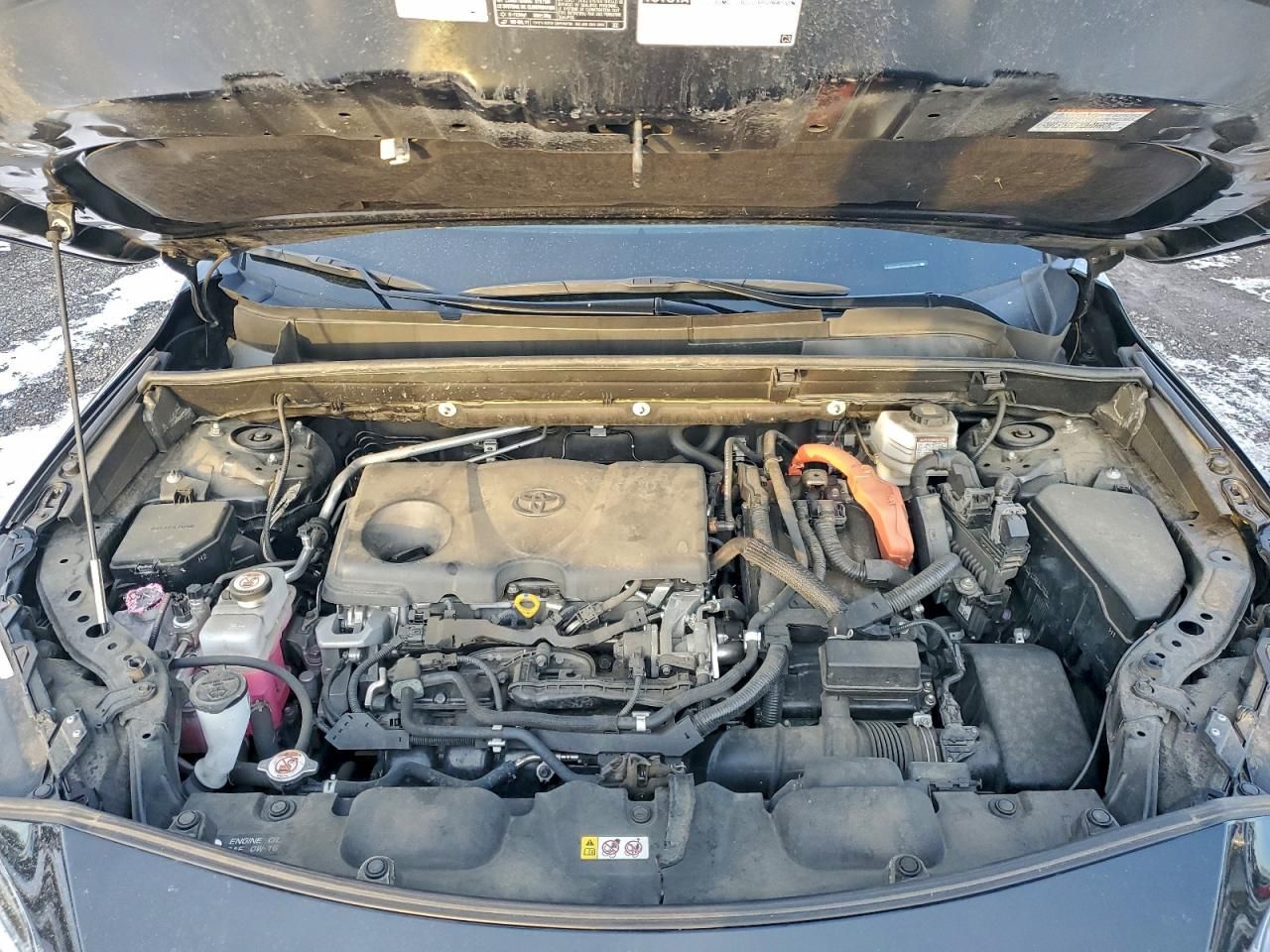 2021 Toyota Venza le