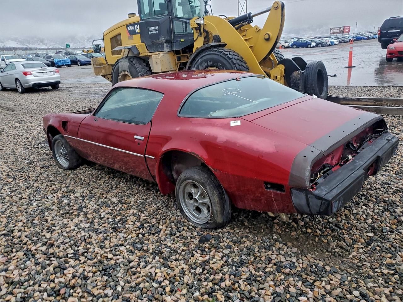 1981 Pontiac Firebird