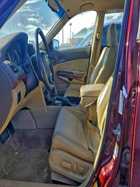 2009 Honda Accord exl