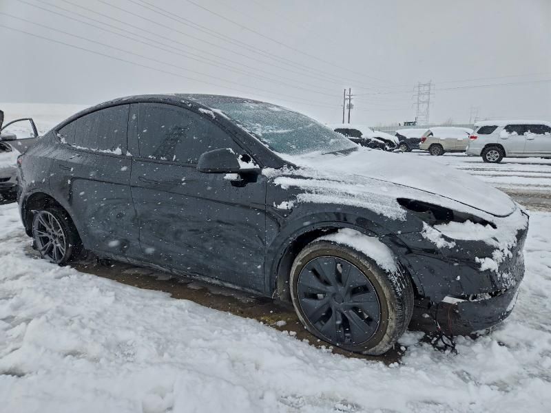 2025 Tesla Model y