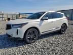 2024 Acura Rdx A-spec
