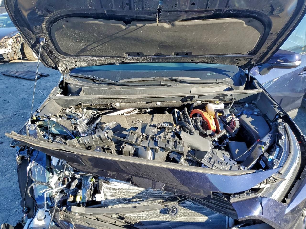 2024 Toyota Rav4 xle Premium