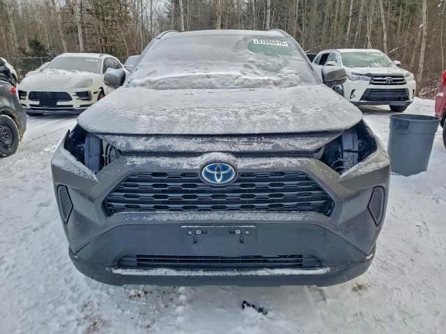 2024 Toyota Rav4 xle