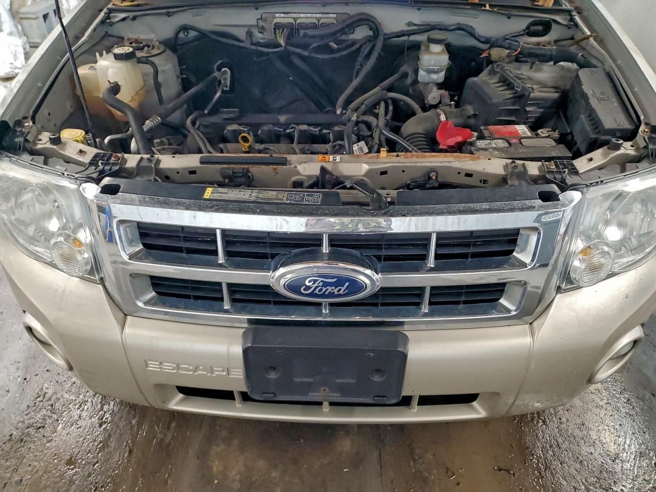 2012 Ford Escape xlt