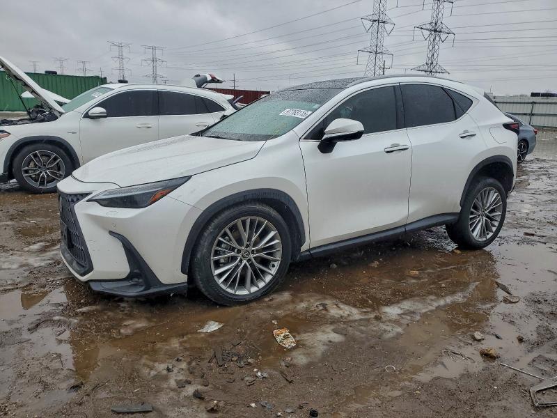 2024 Lexus Nx 350 Luxury