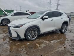 Lexus salvage cars for sale: 2024 Lexus Nx 350 Luxury