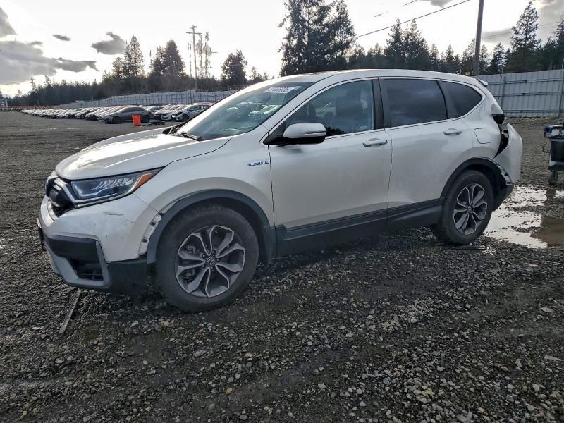2021 Honda Cr-v exl
