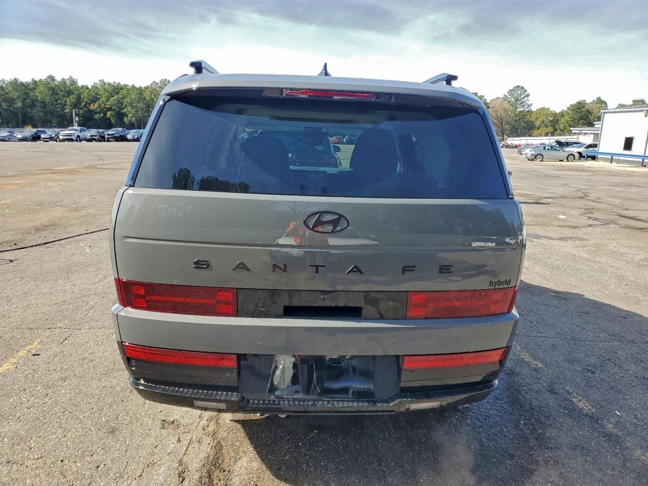 2025 Hyundai Santa fe Calligraphy