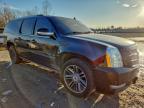 2013 Cadillac Escalade esv Premium