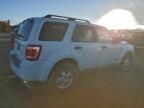 2008 Ford Escape xlt