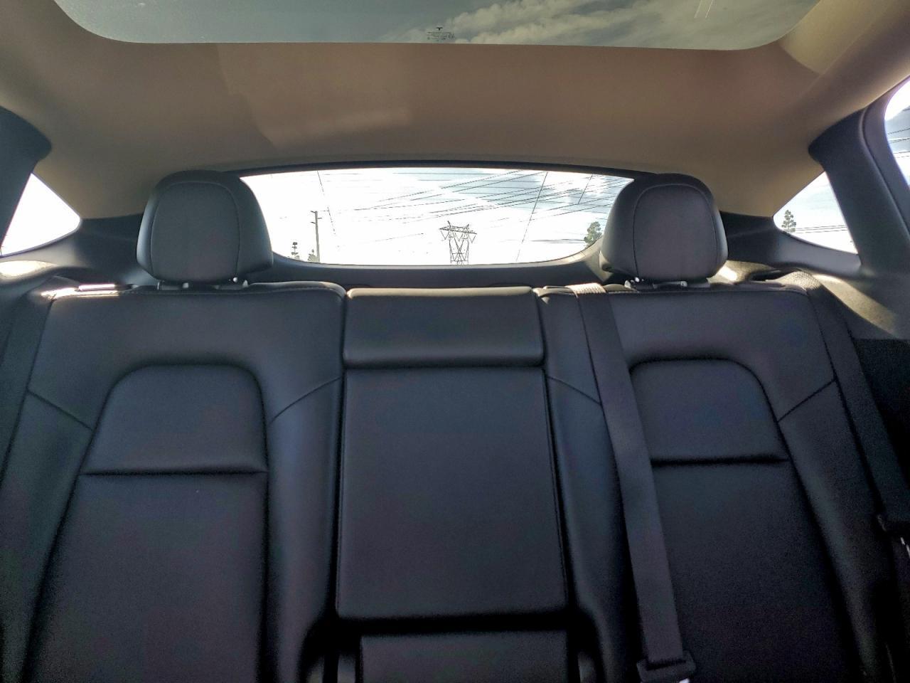 2025 Tesla Model y
