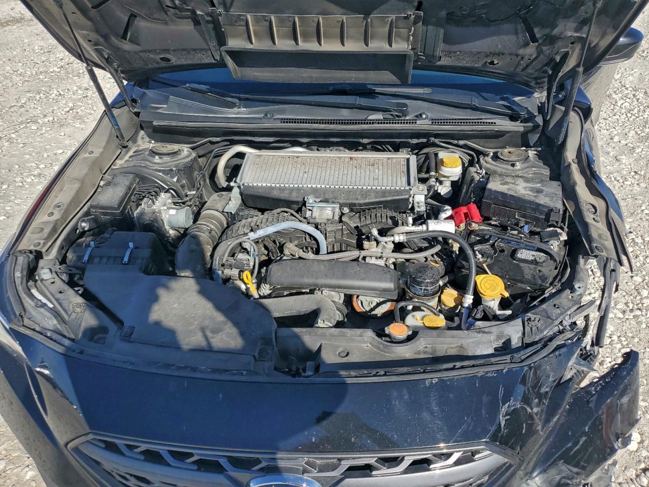 2024 Subaru Wrx Premium