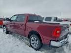 2025 Dodge Ram 1500 big Horn/lone Star