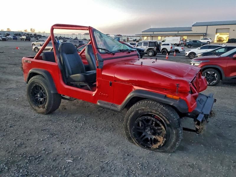 1989 Jeep Wrangler / yj