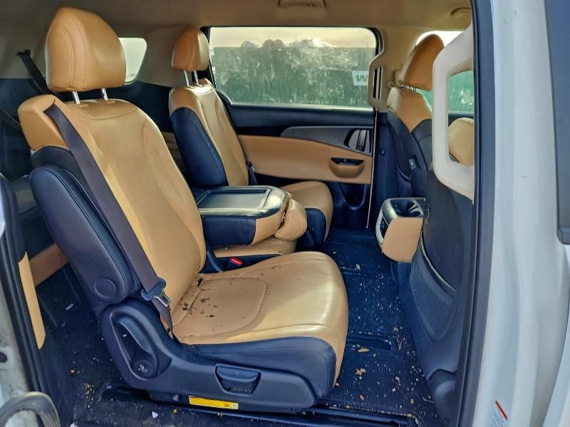 2024 KIA Carnival lx