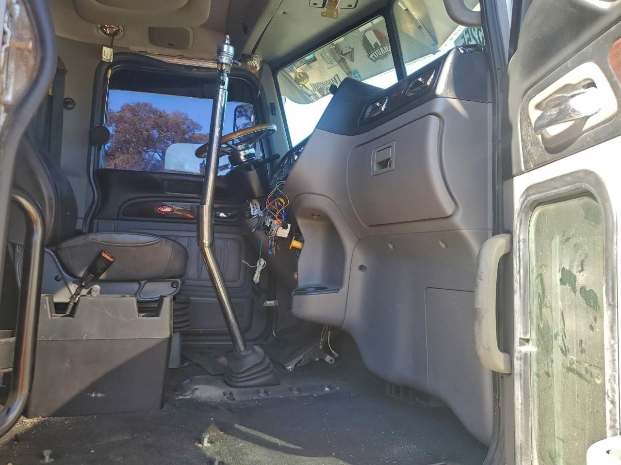 2019 Peterbilt 389 Semi Truck