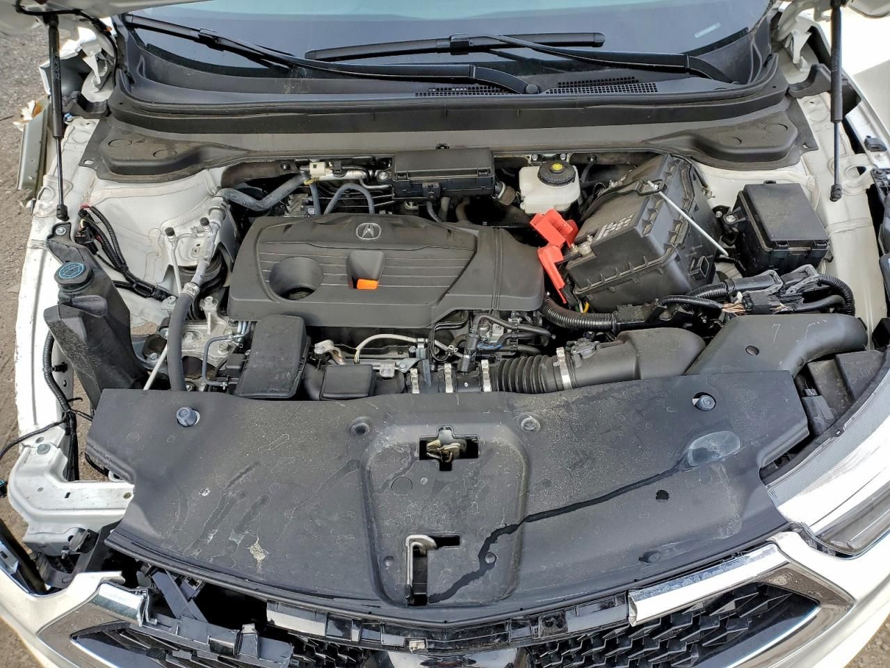 2019 Acura Rdx Technology